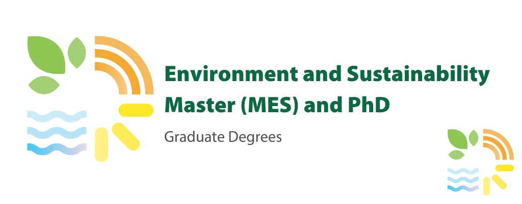 phd in sustainable management