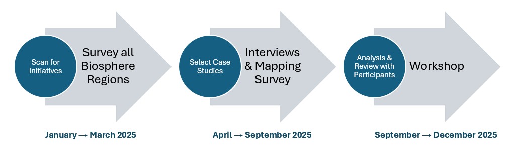 Three phases of research