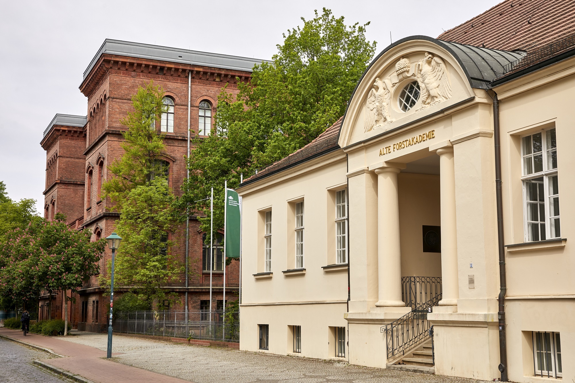 Picture of Eberswalde University for Sustainable Devepment (HNEE)